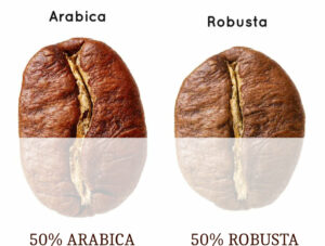 Opinum Caffe Smeraldo Arabica und Robusta Bohnen Mischung